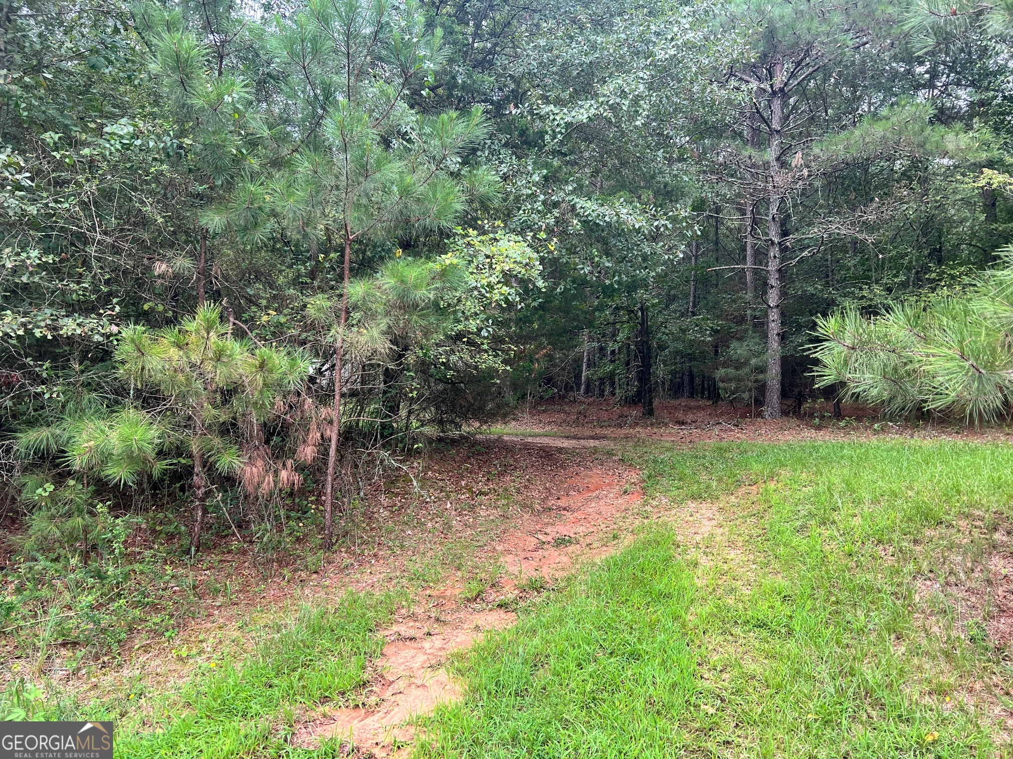 1383 Sims Road Se Property Photo 2
