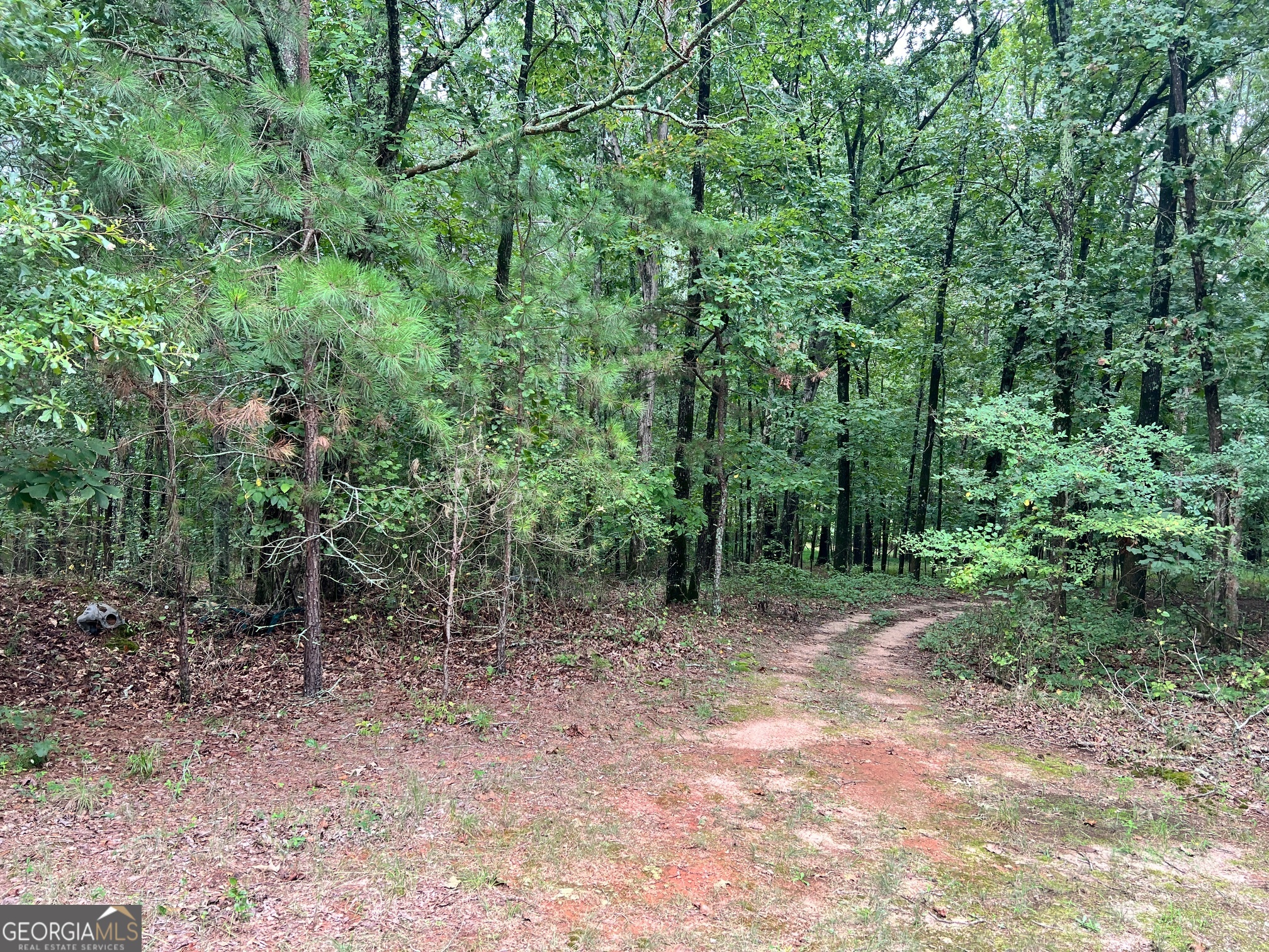 1383 Sims Road Se Property Photo 4