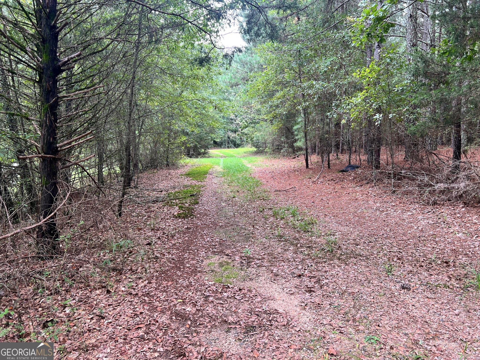 1383 Sims Road Se Property Photo 6