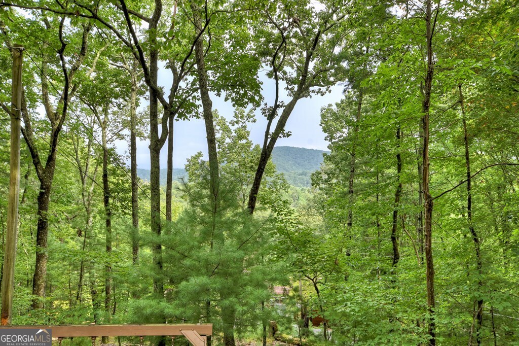 270 Walnut Mountain Road Property Photo 22