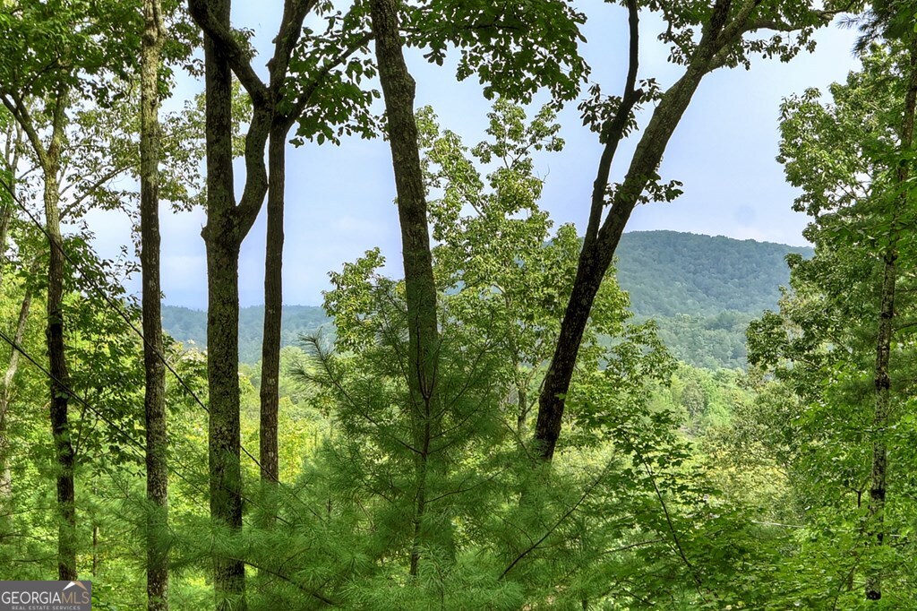 270 Walnut Mountain Road Property Photo 23