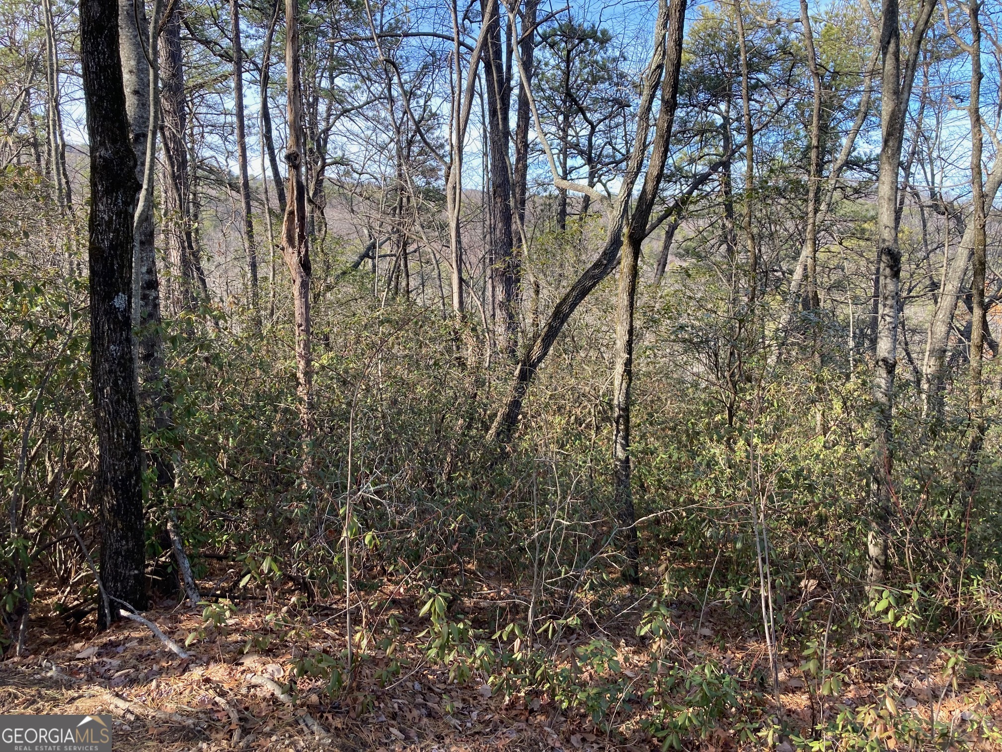 Lot 37 Whispering Dale Property Photo 1
