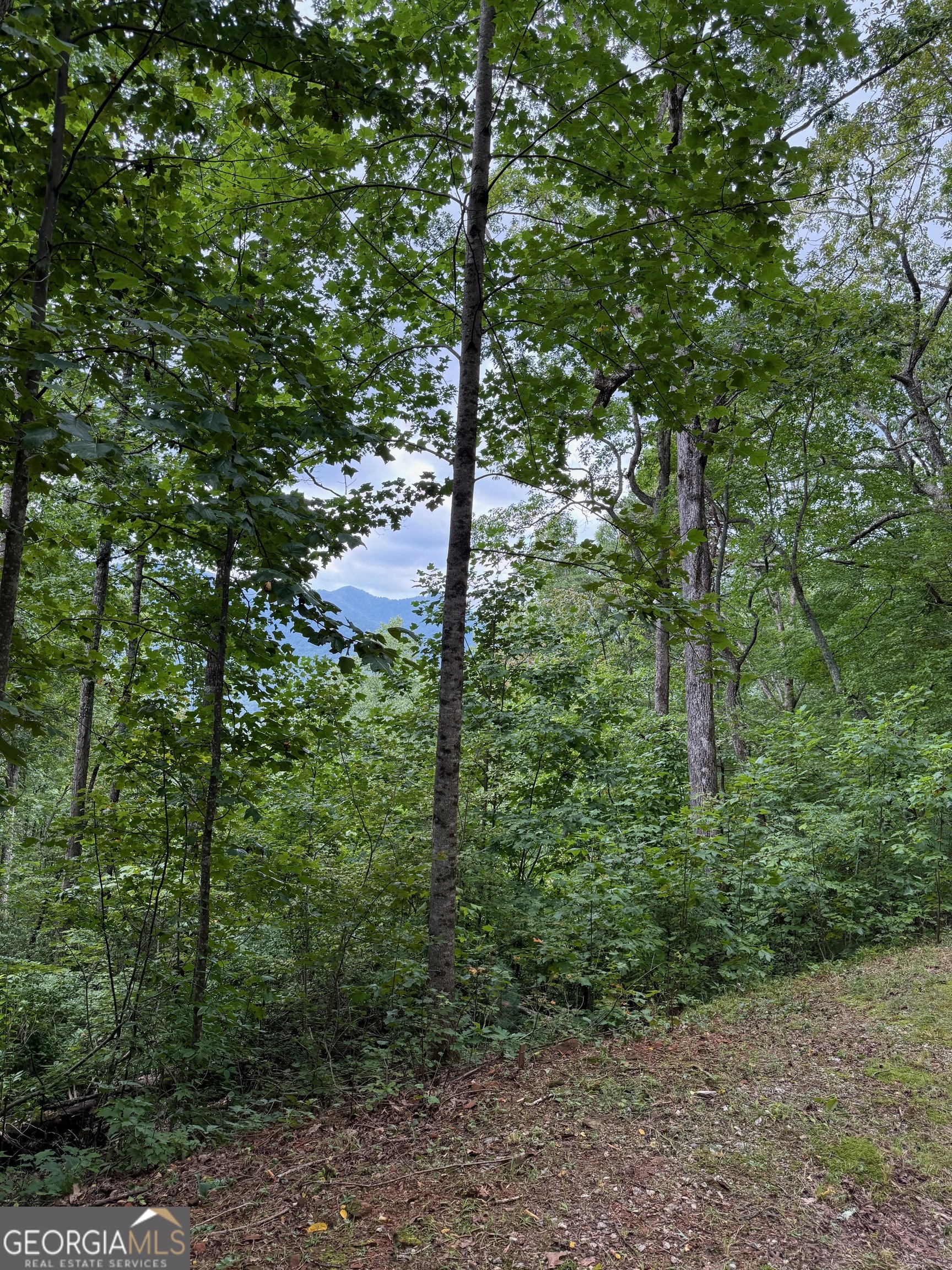 Lot 6 Raven Fork Trail Property Photo 3