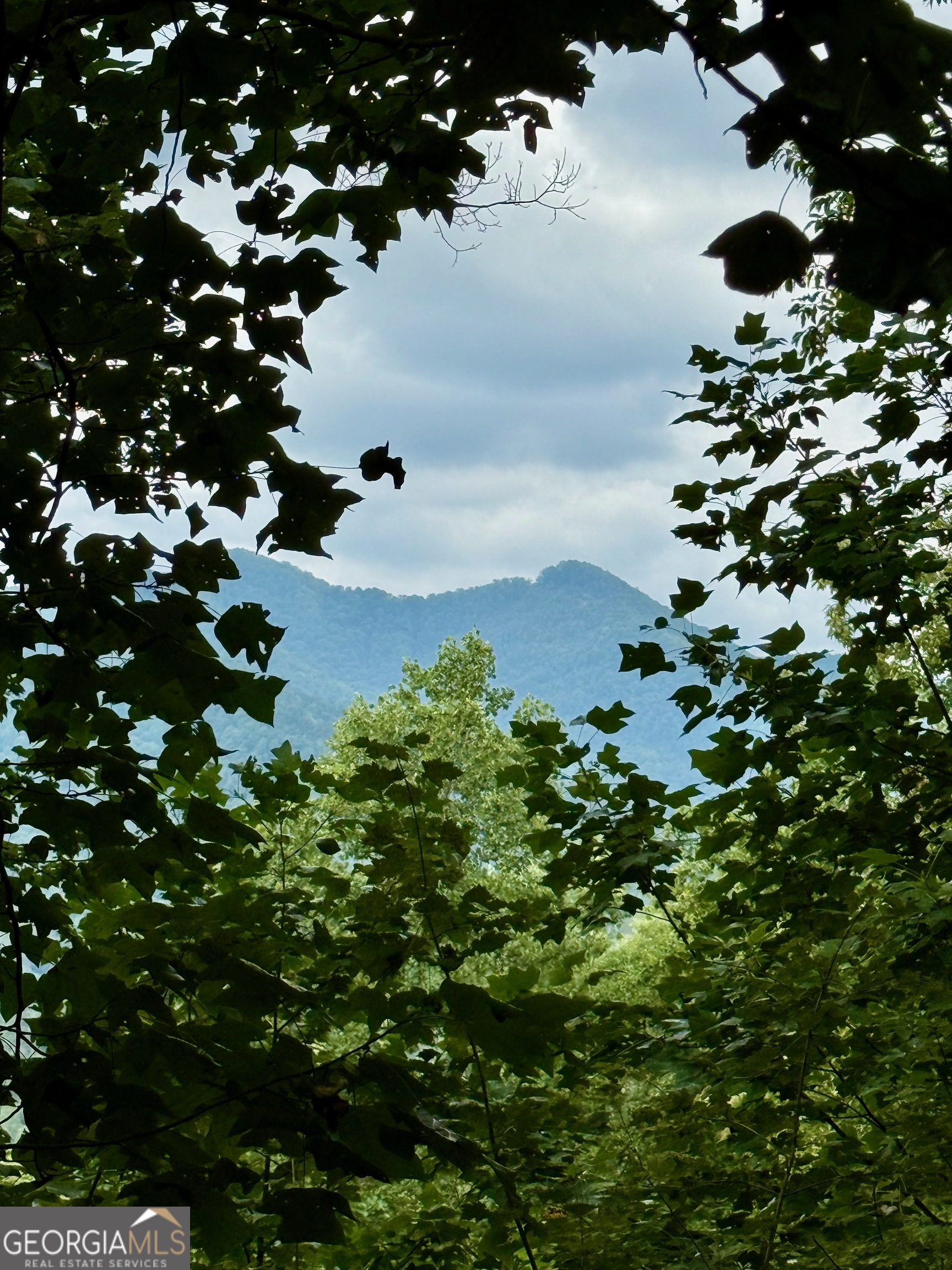 Lot 6 Raven Fork Trail Property Photo 4