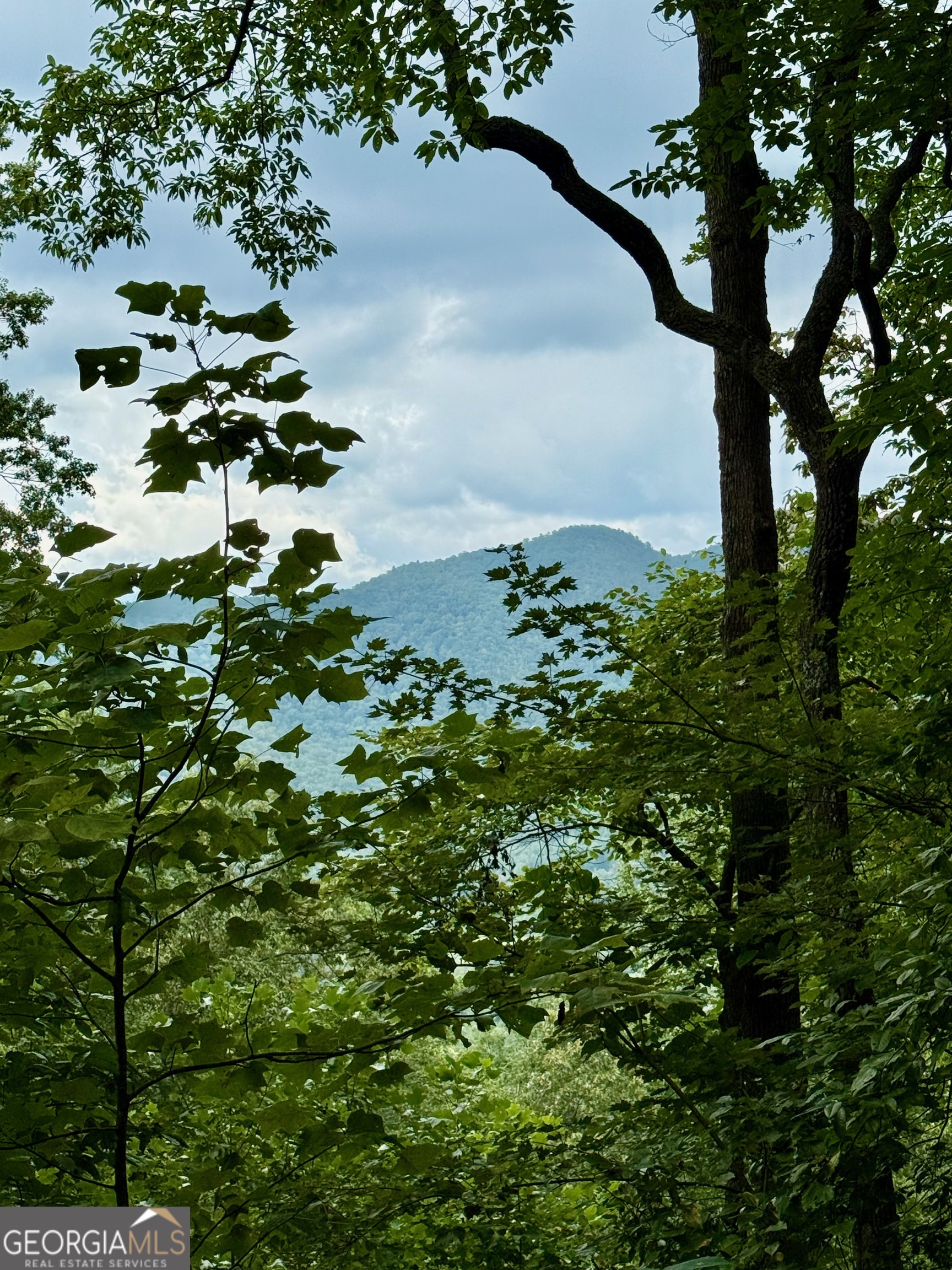 Lot 6 Raven Fork Trail Property Photo 5
