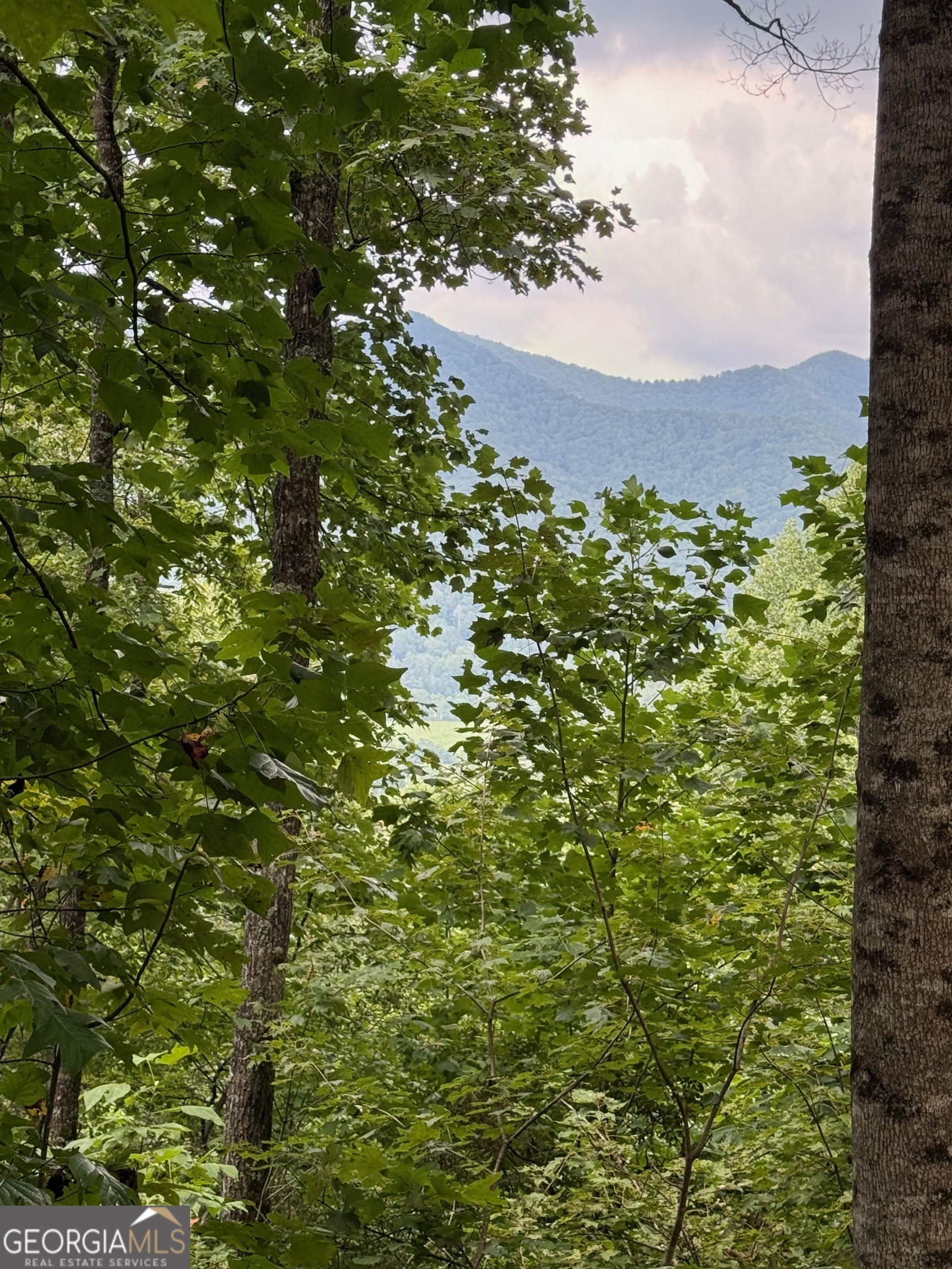 Lot 6 Raven Fork Trail Property Photo 7