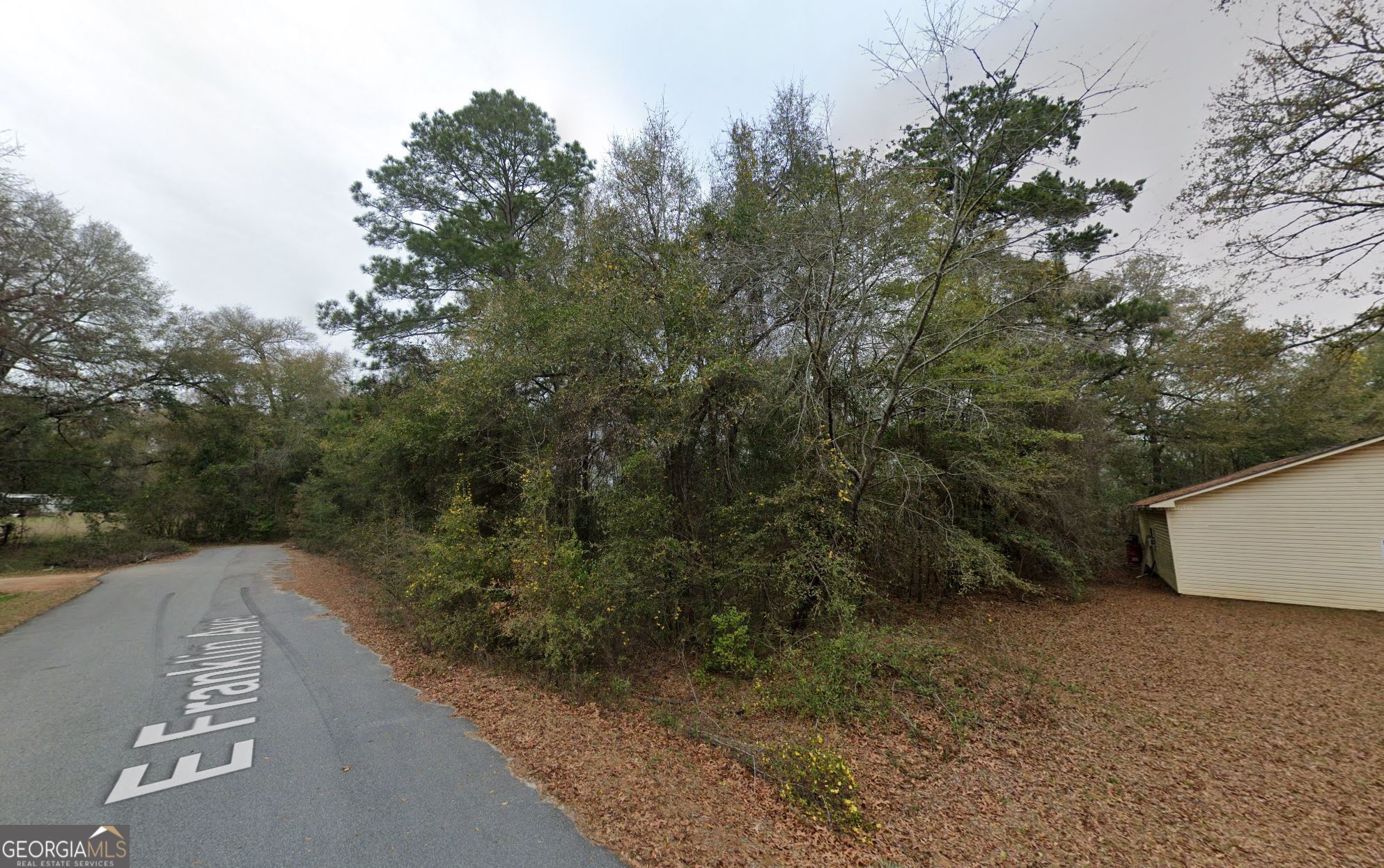 0 E Franklin Avenue Property Photo 1