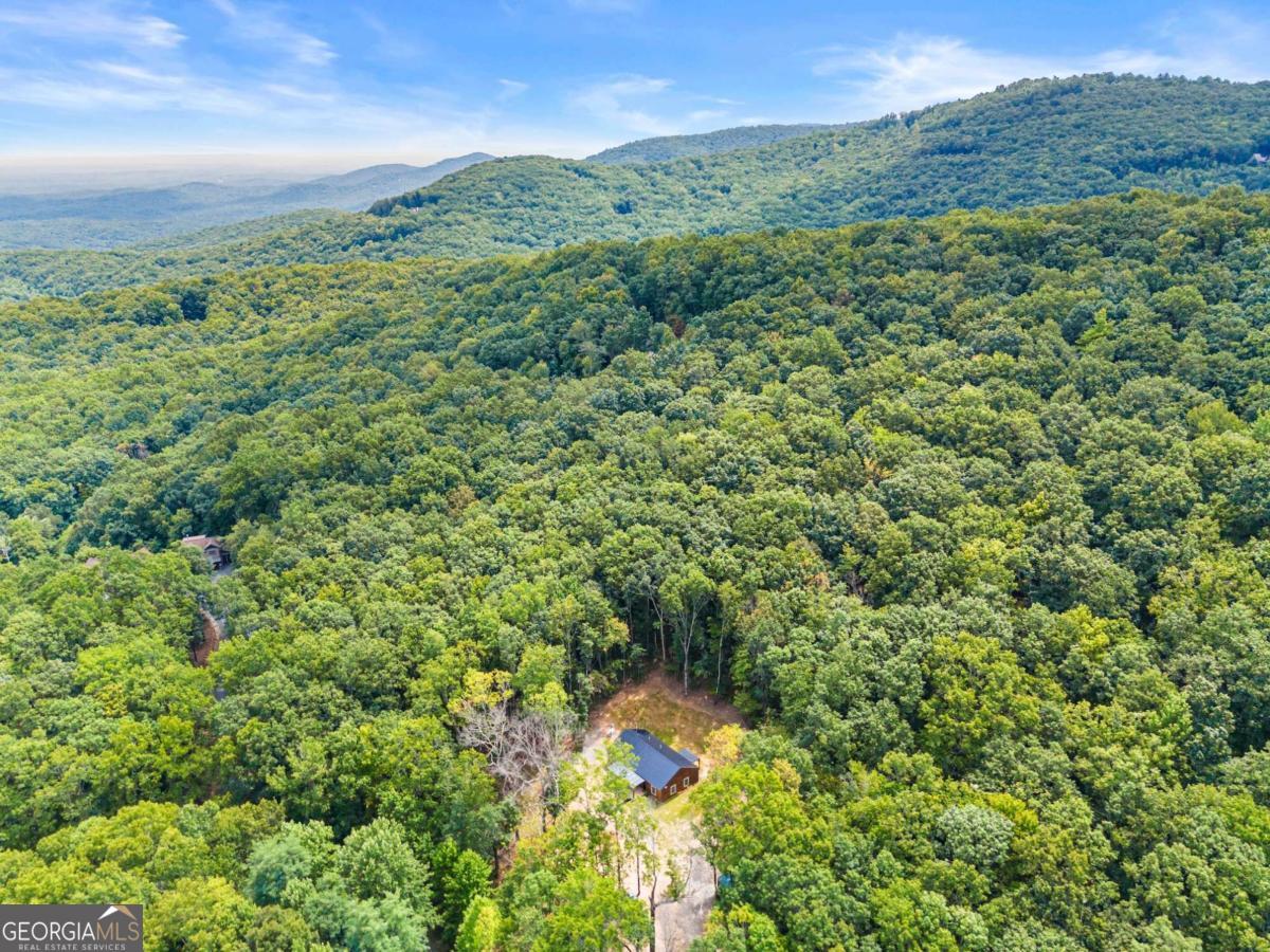 587 Cold Stream Trail Property Photo 35