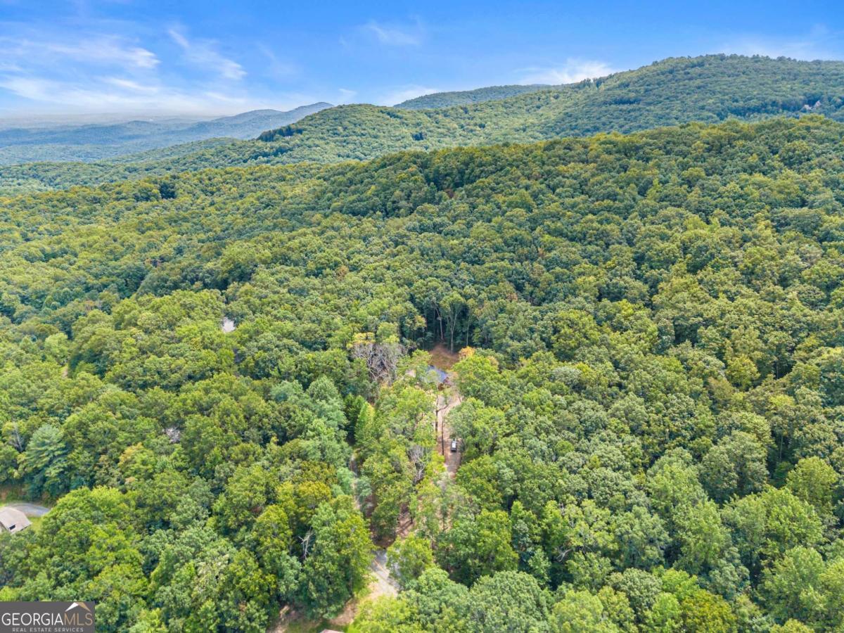 587 Cold Stream Trail Property Photo 36