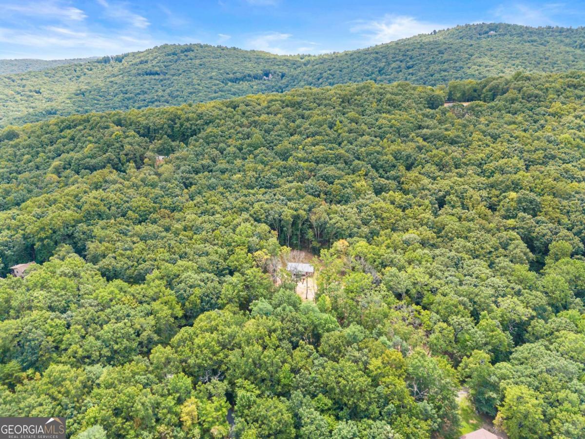 587 Cold Stream Trail Property Photo 37