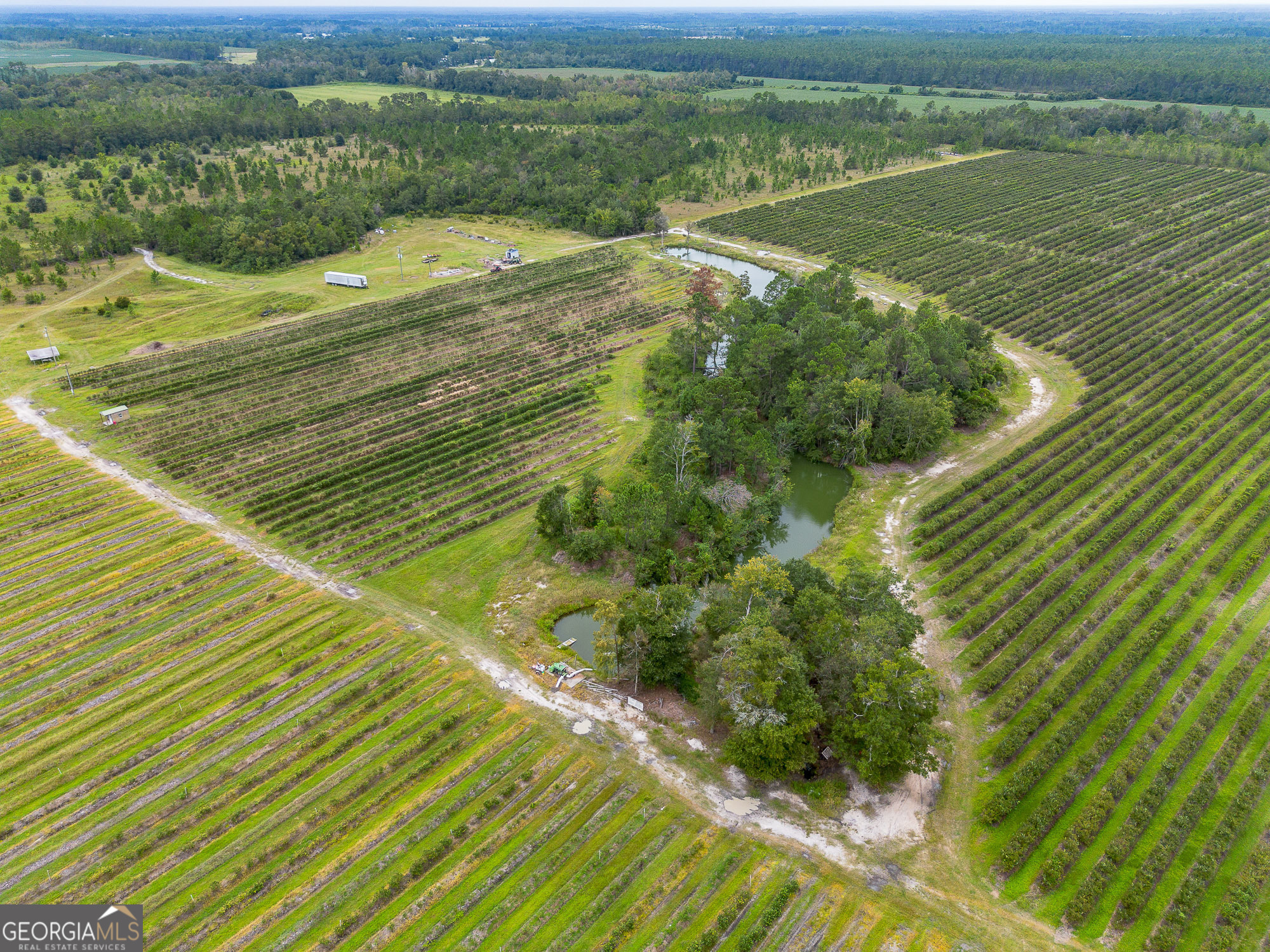 0 Jasmine Lane Property Photo 1