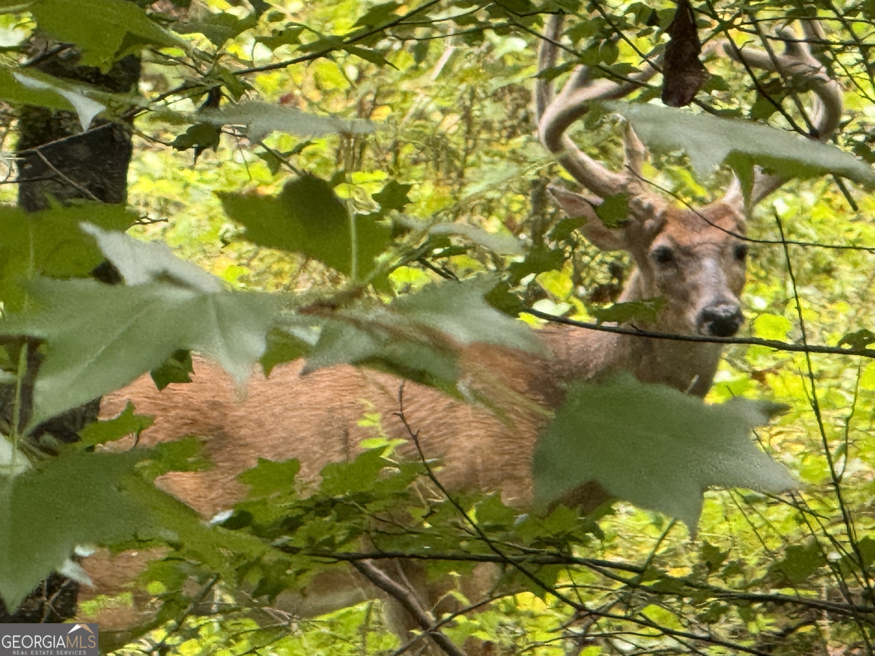 29.61 Irby Road Property Photo 1