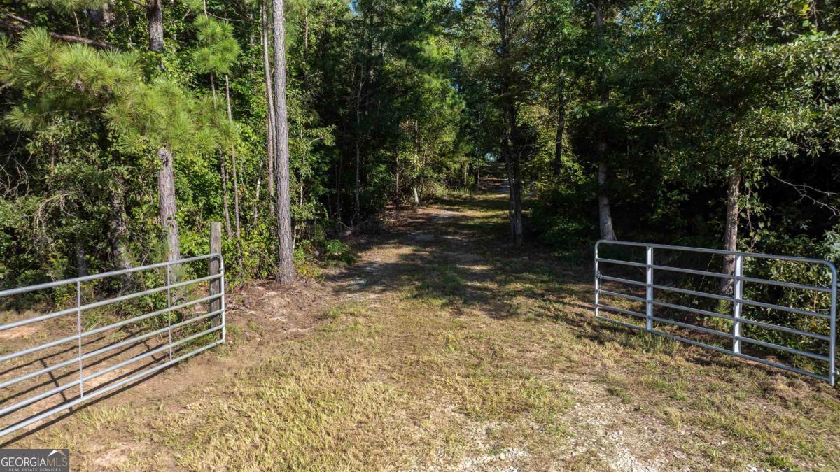 1901 Grey Land Road Property Photo 19