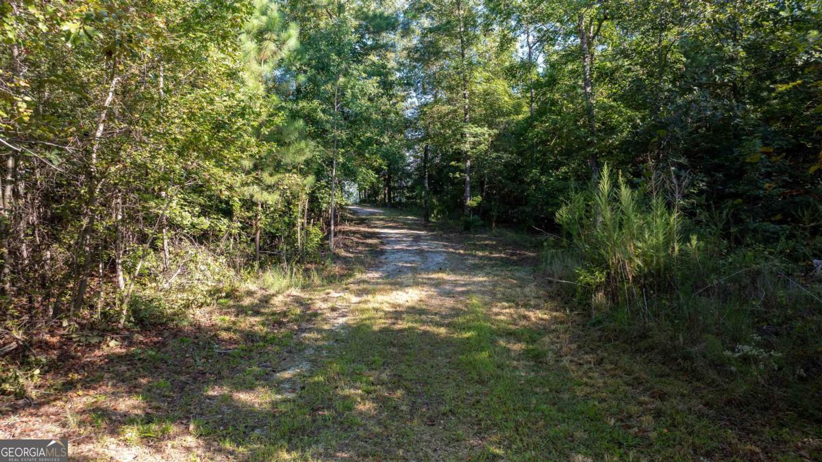 1901 Grey Land Road Property Photo 20