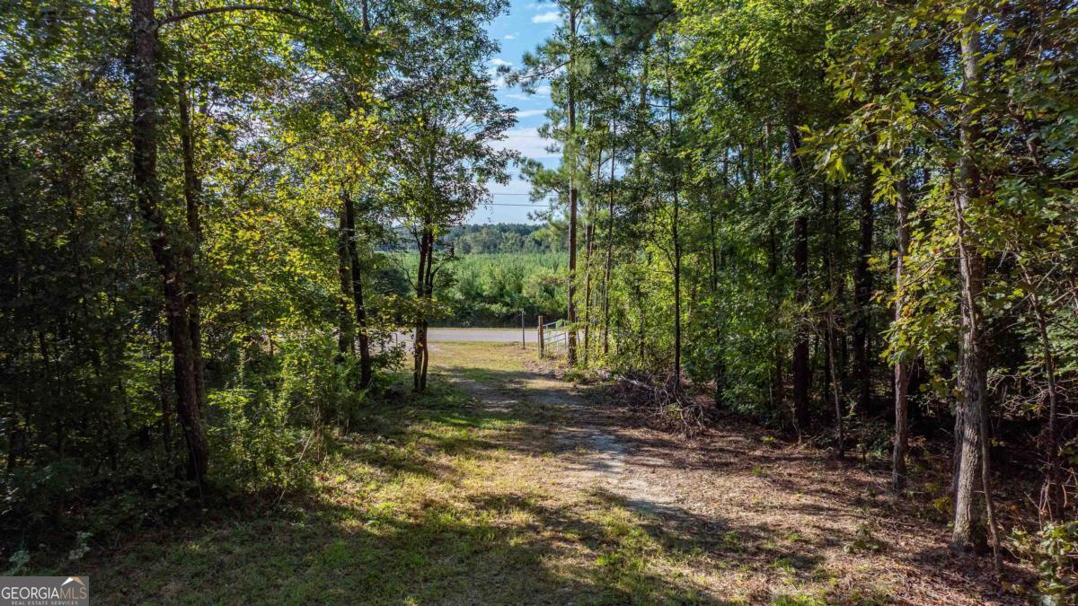1901 Grey Land Road Property Photo 21