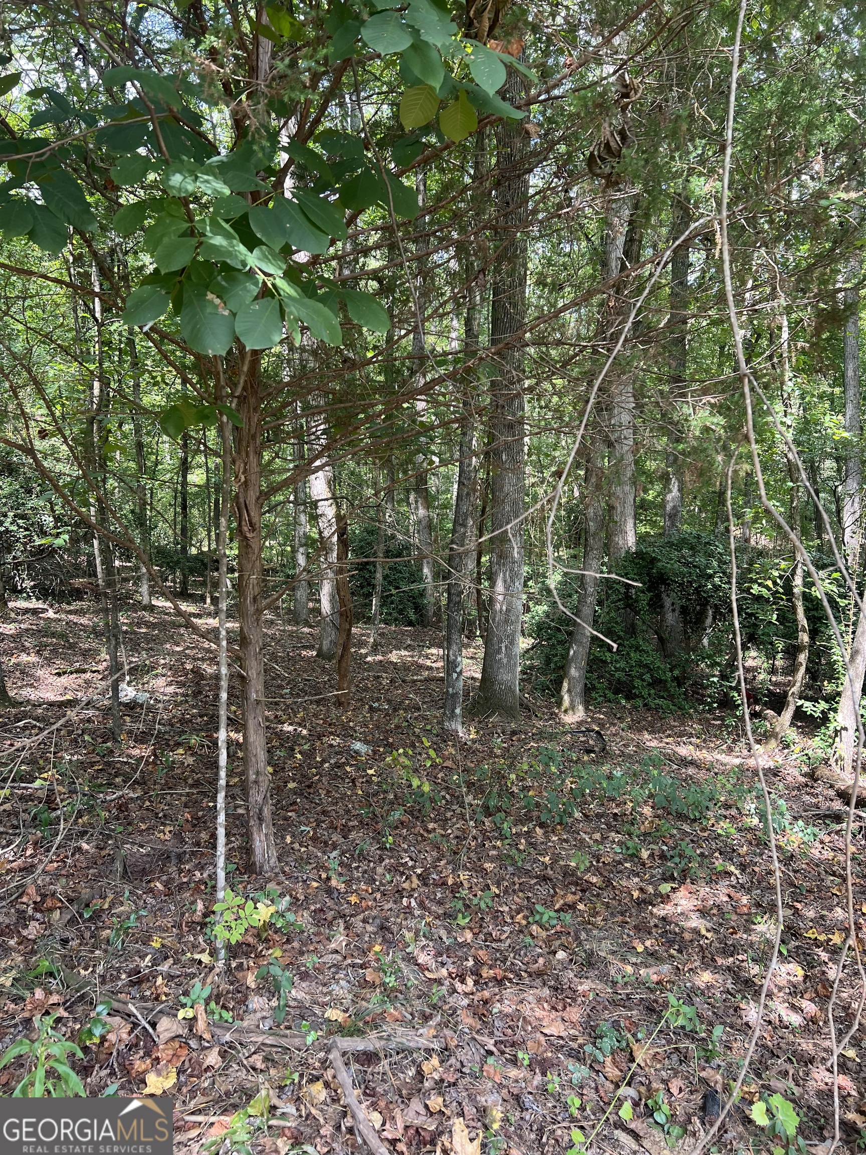 0 Barouche Drive Property Photo 3