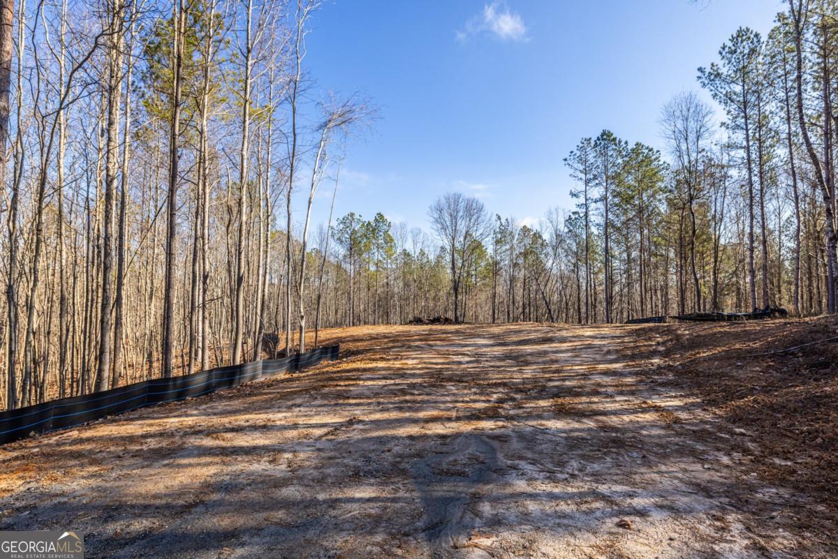 #3 Lone Bear Path Path Property Photo 3