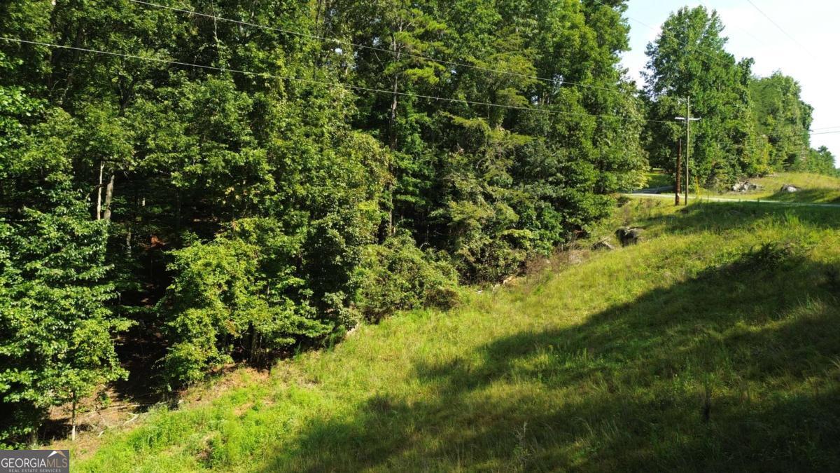 0 Calhoun Road Property Photo 5