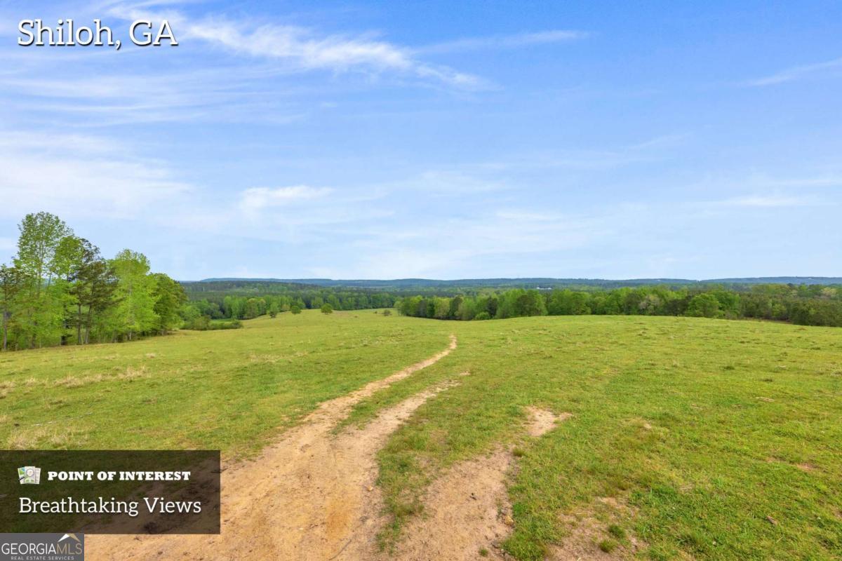 2450 Chestnut Grove Road # 2 Property Photo 3