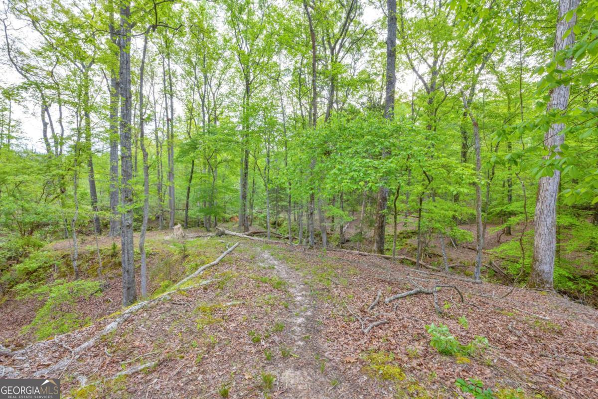2450 Chestnut Grove Road # 2 Property Photo 11