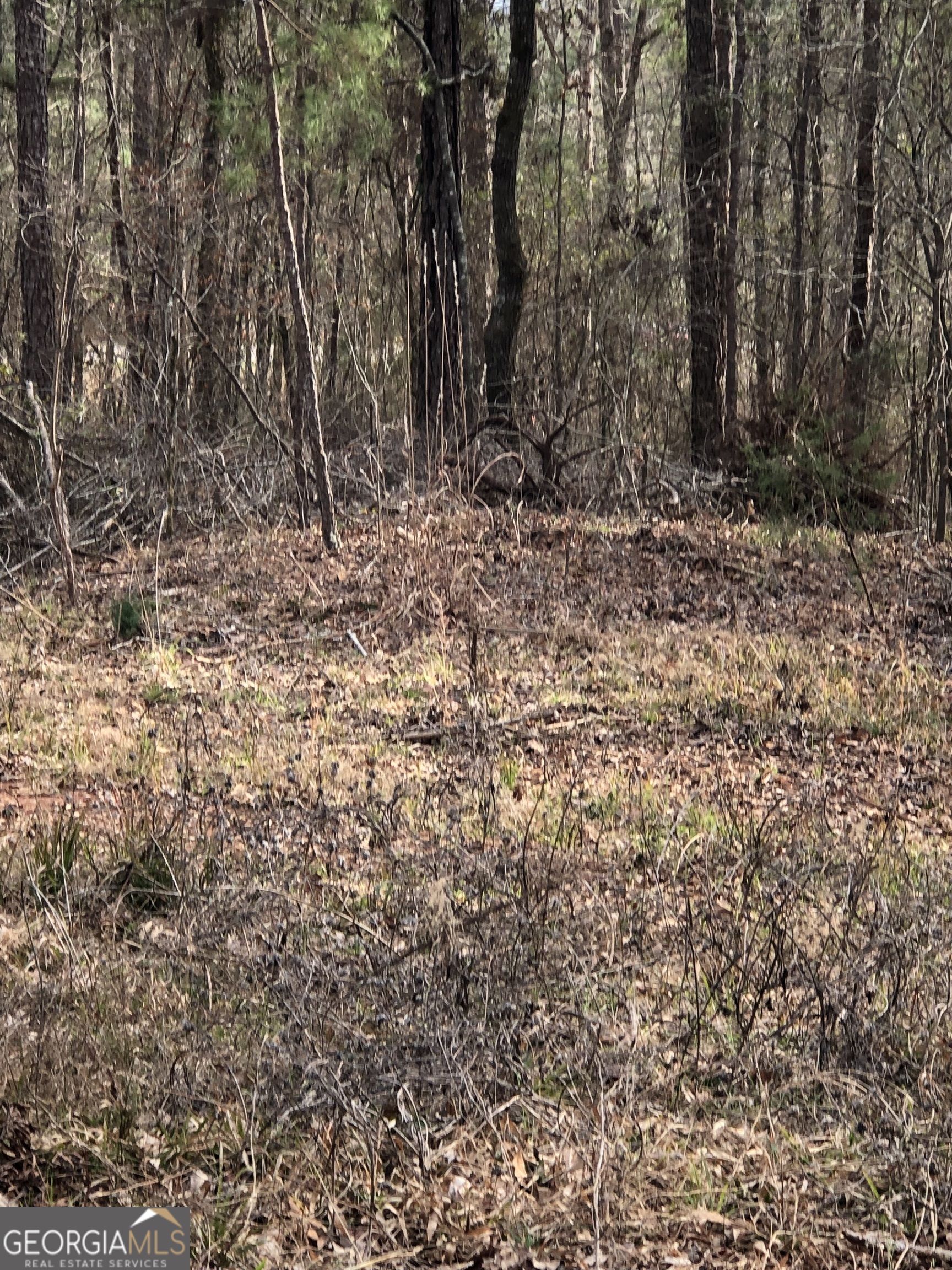 438 Lake Laurel Road Property Photo 5