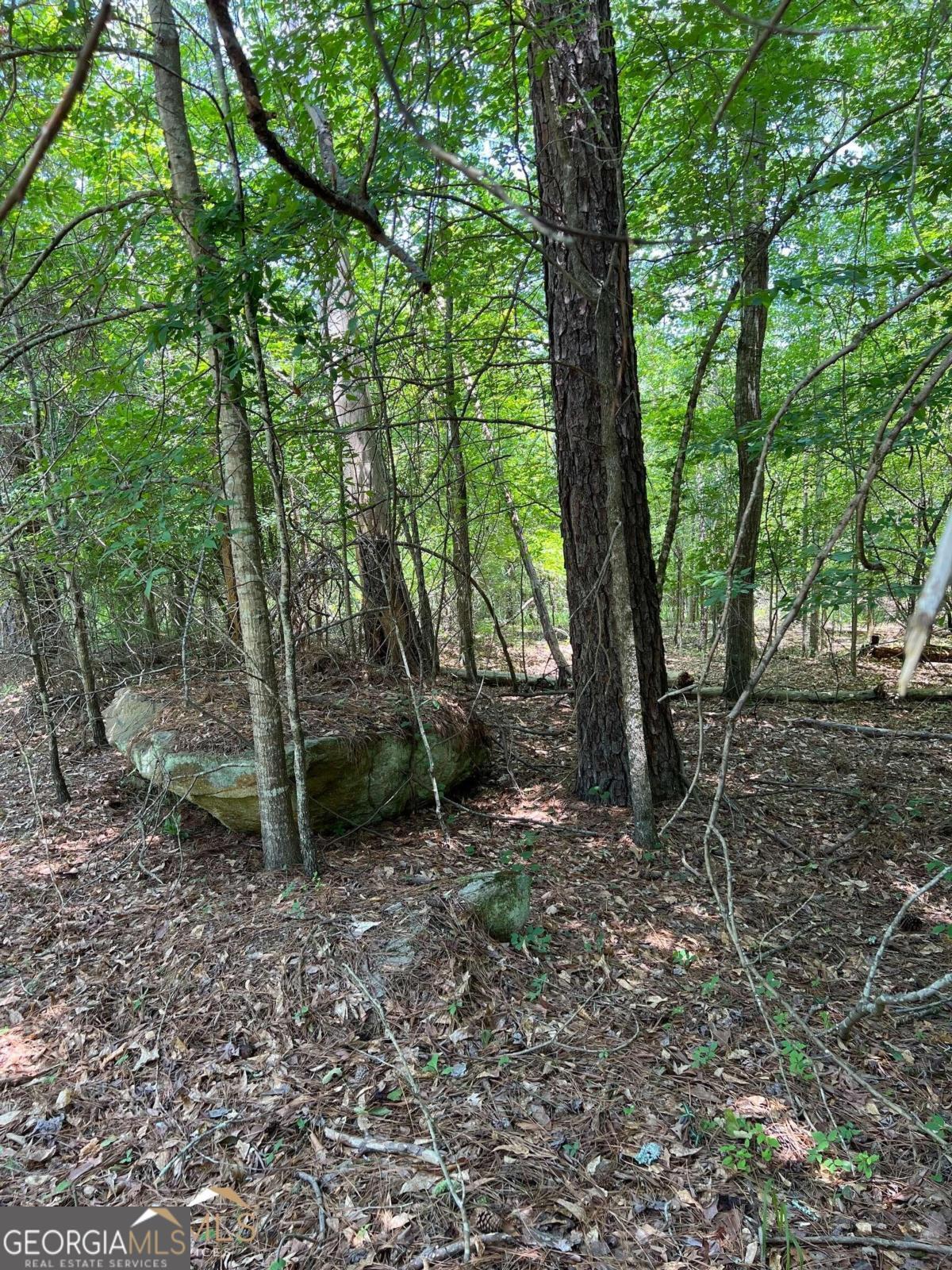 0 Crooked Creek Bay Road