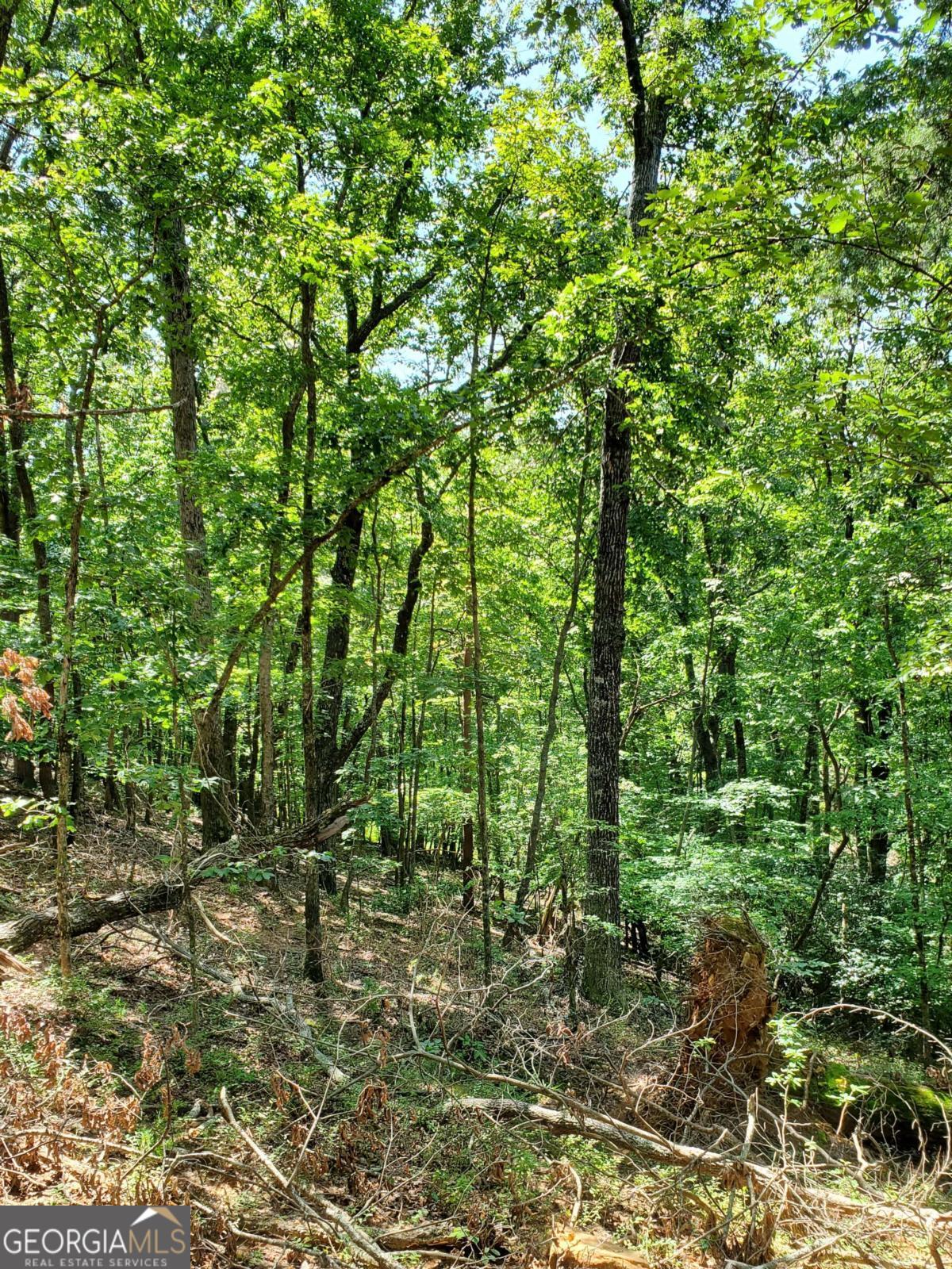 0 Asbury Mill Road