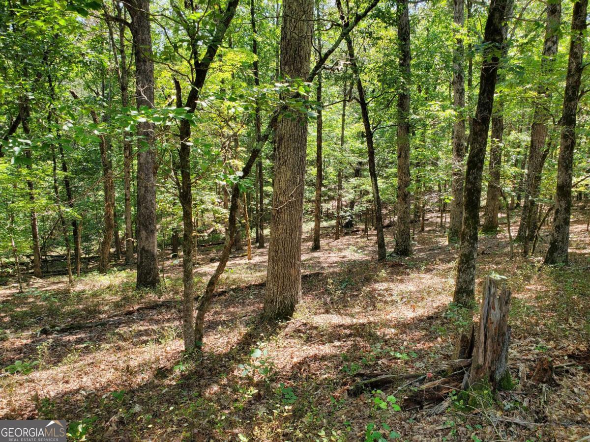 0 Asbury Mill Road Property Photo 3