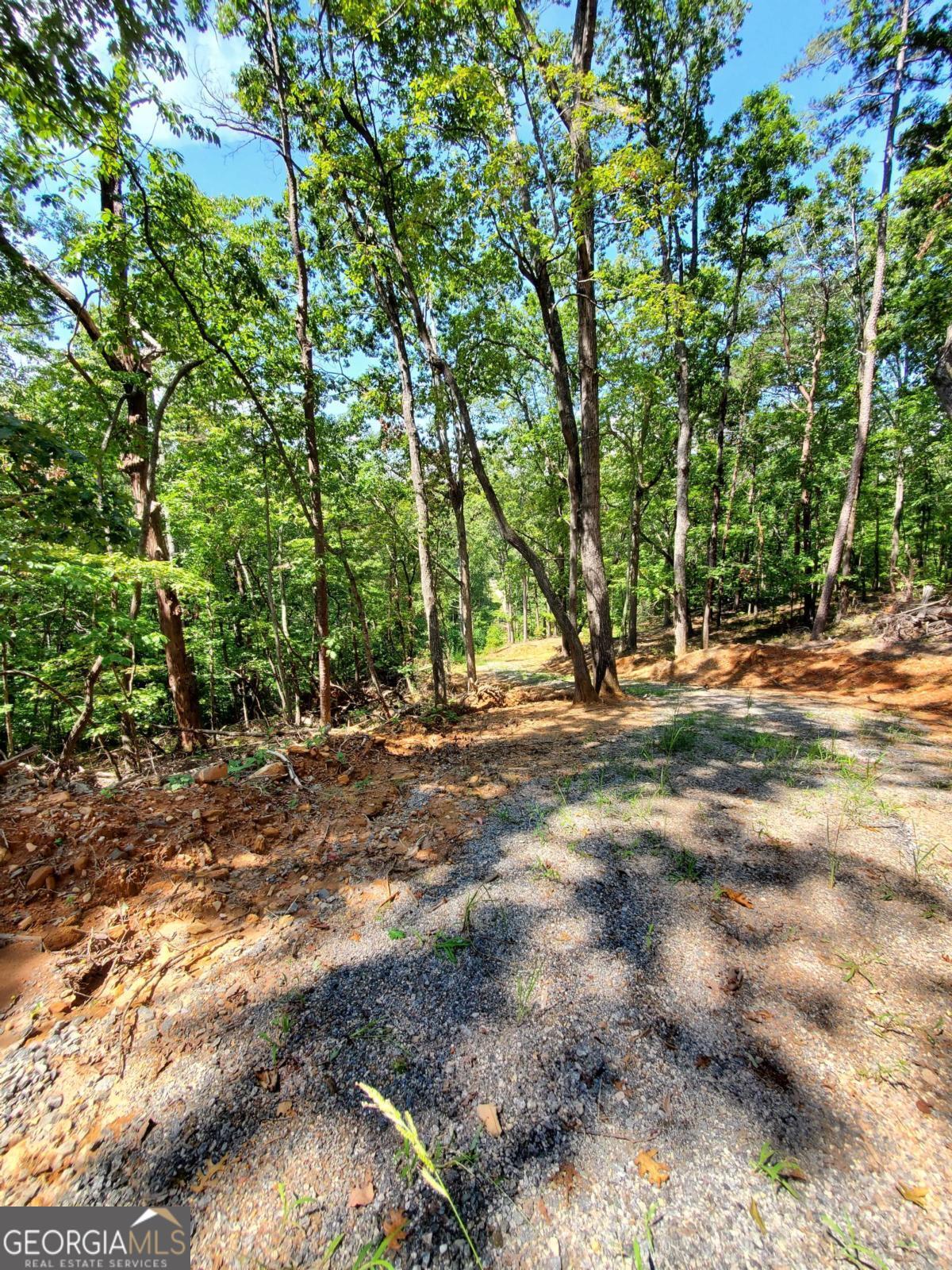 0 Asbury Mill Road Property Photo 9
