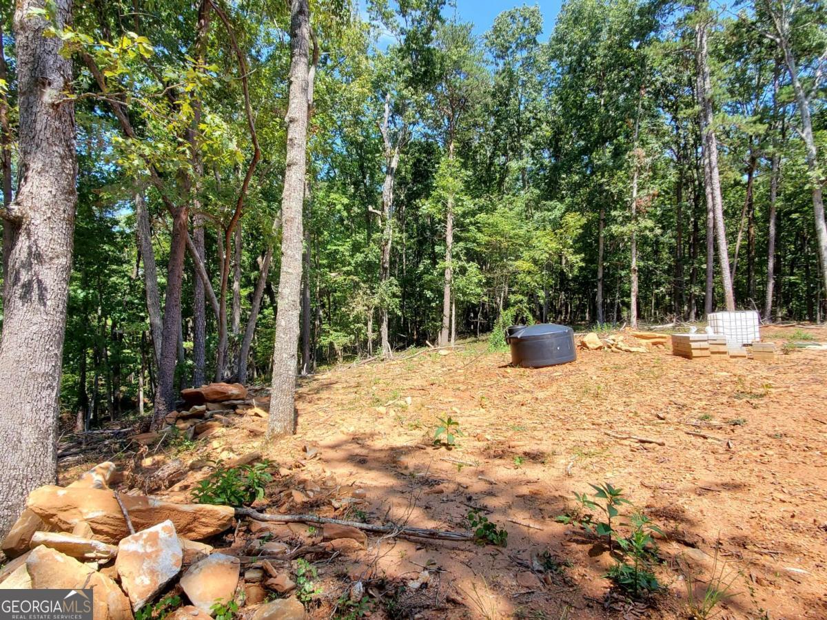 0 Asbury Mill Road Property Photo 14