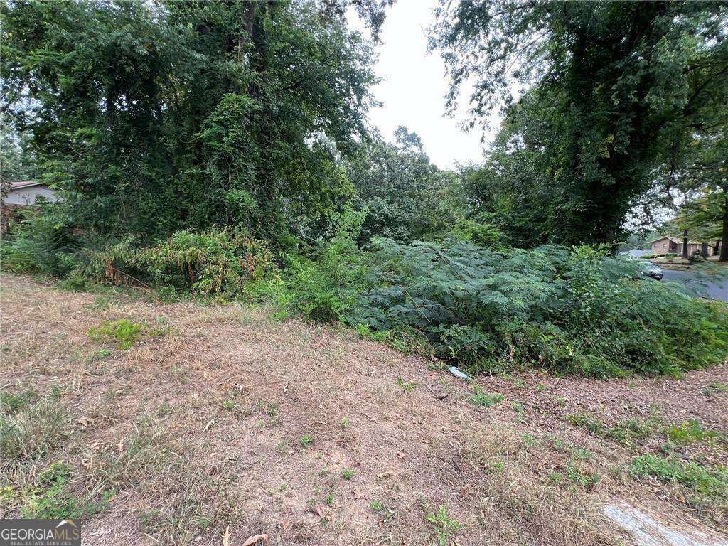 0 Westlyn Drive Sw Property Photo 3