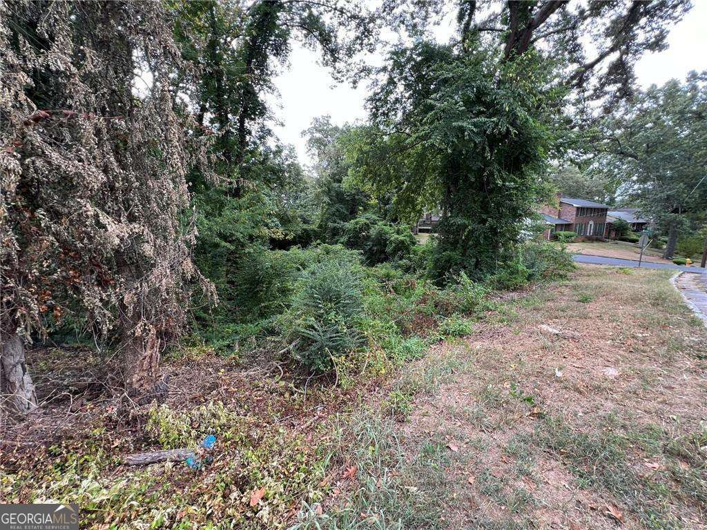 0 Westlyn Drive Sw Property Photo 4