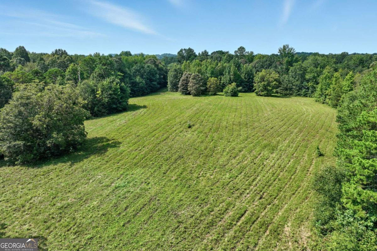 4363 Sardis Road Property Photo 5