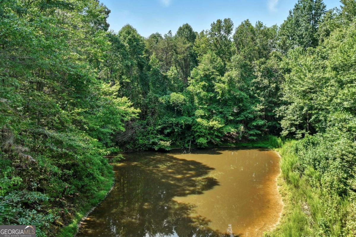 4363 Sardis Road Property Photo 13