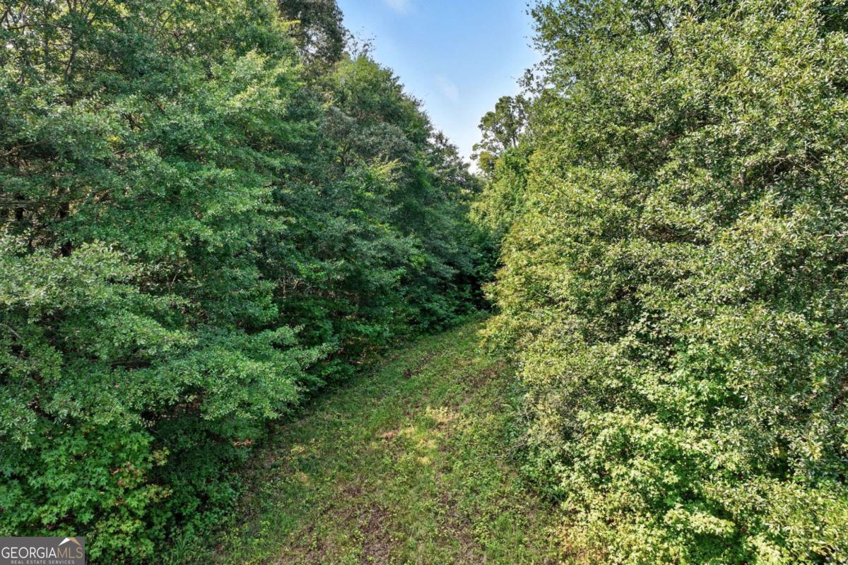 4363 Sardis Road Property Photo 24