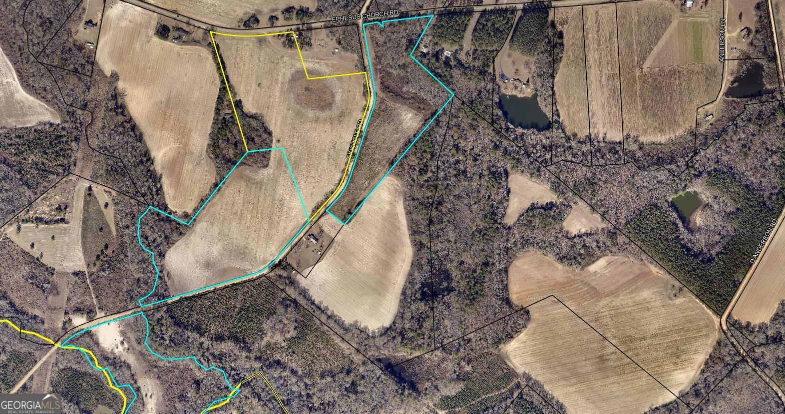 0 Sink Hole Road Property Photo 2