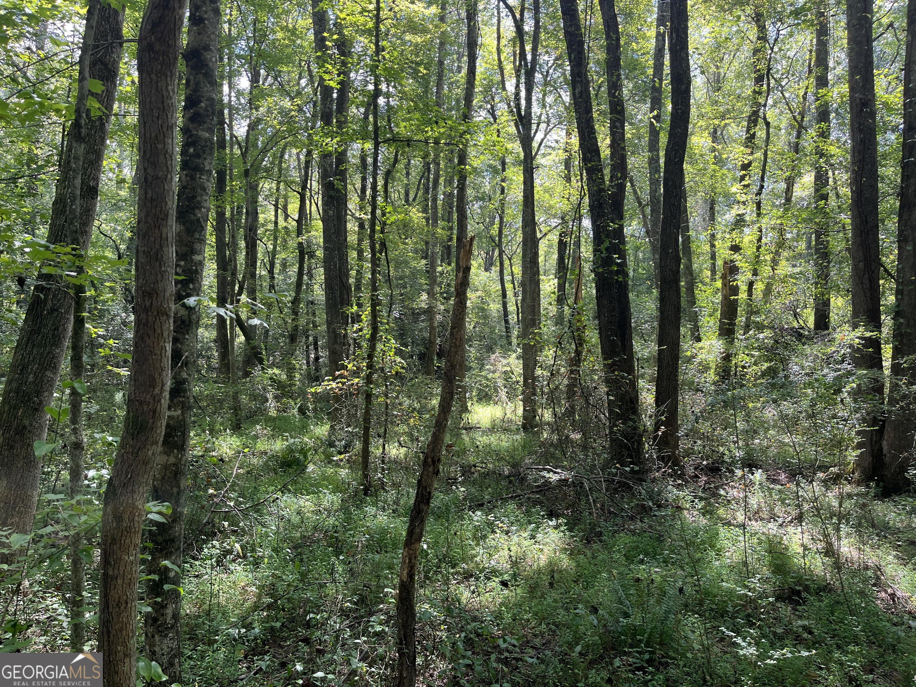 0 Ga Highway 120 Property Photo 1