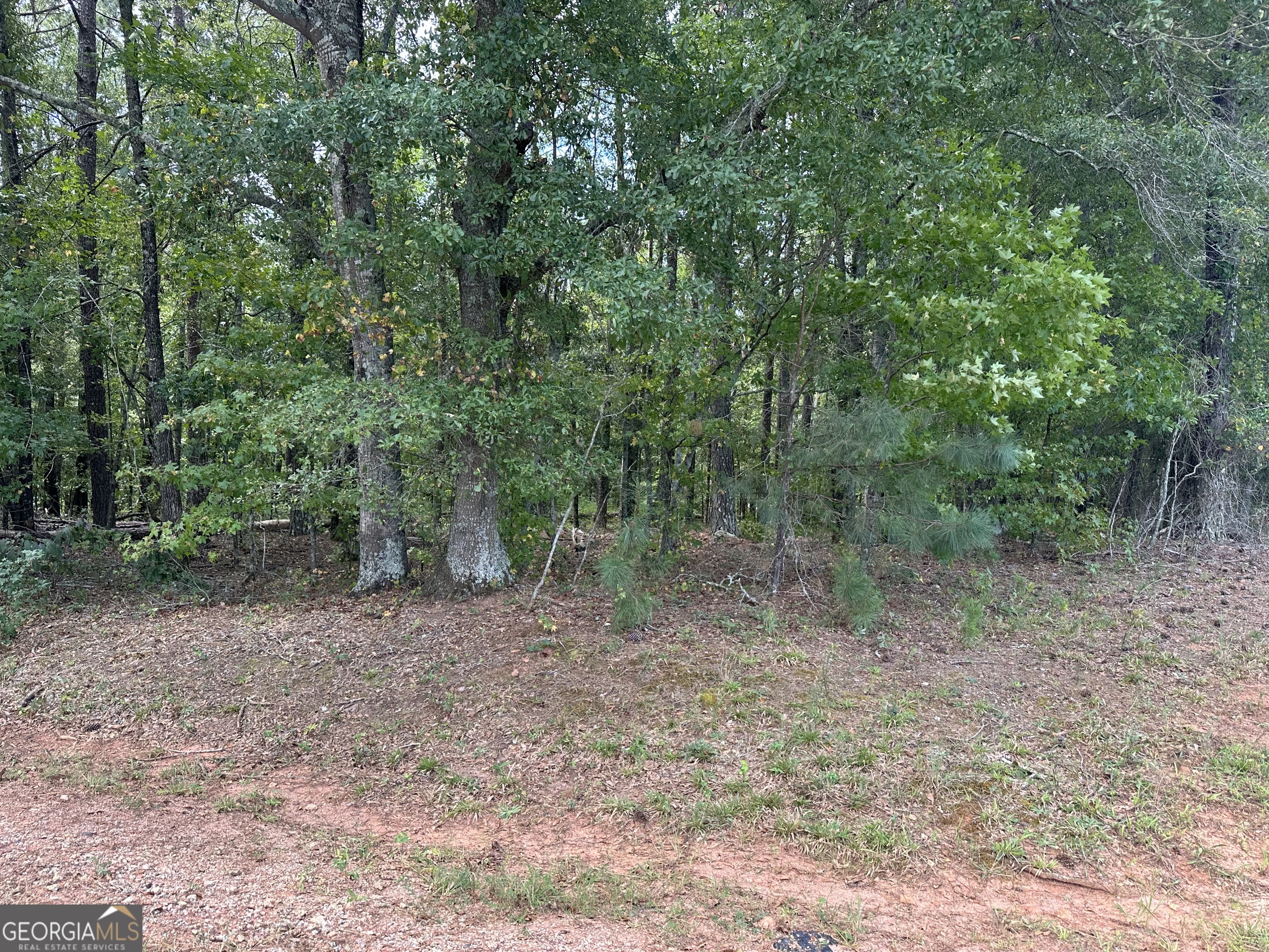 0 Teasley Trail