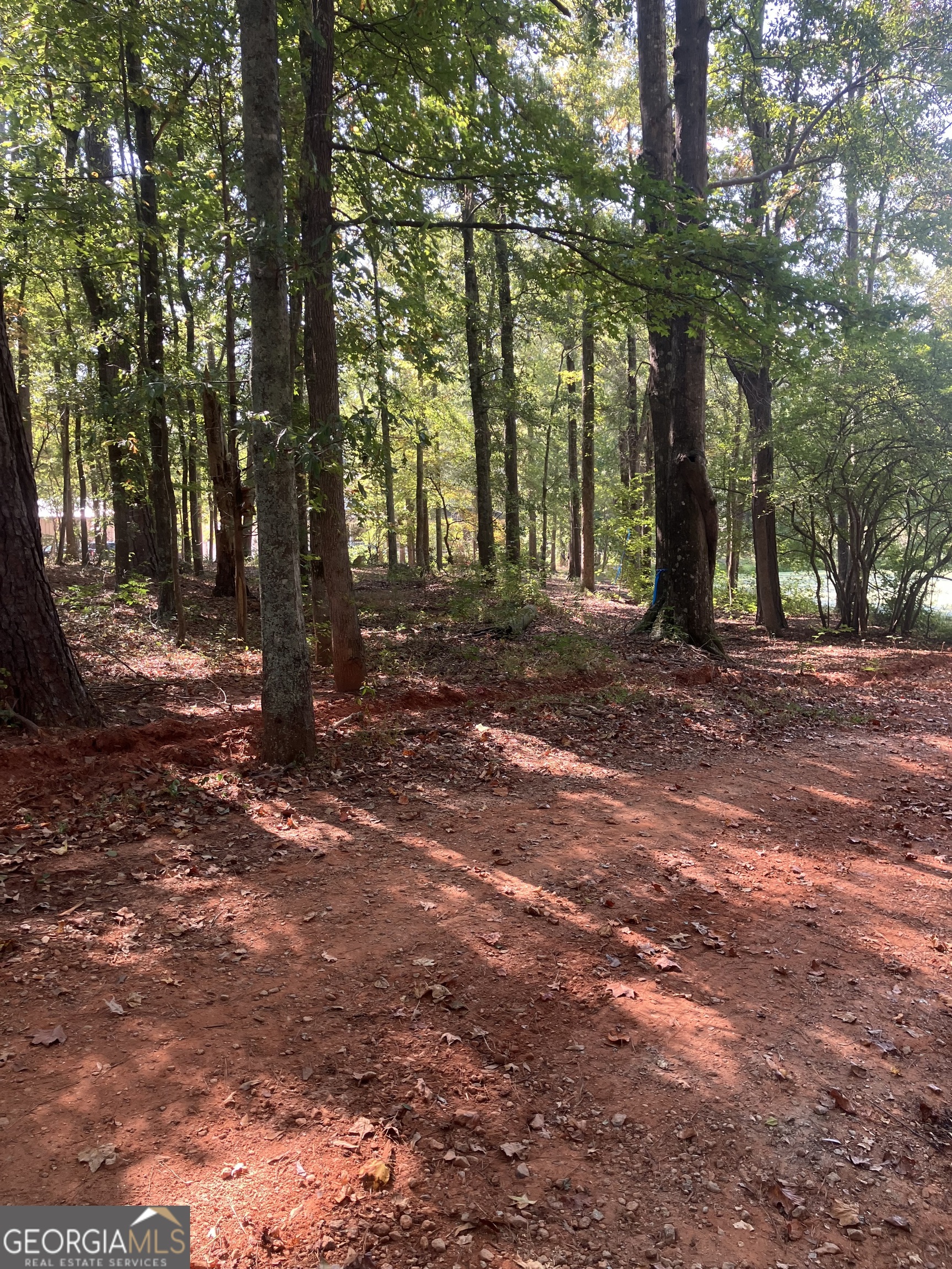0 Teasley Trail Property Photo 6