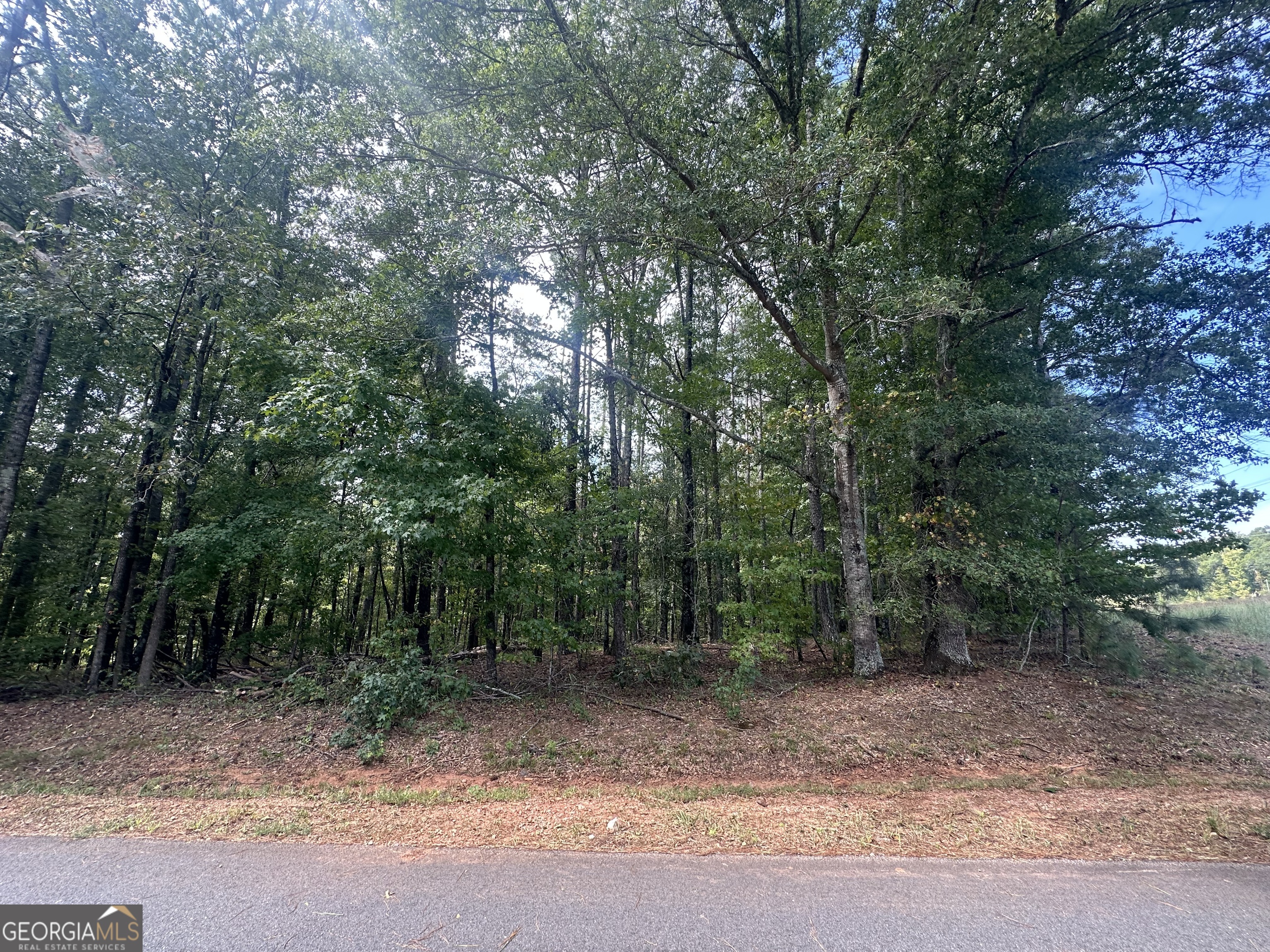 0 Teasley Trail Property Photo 8
