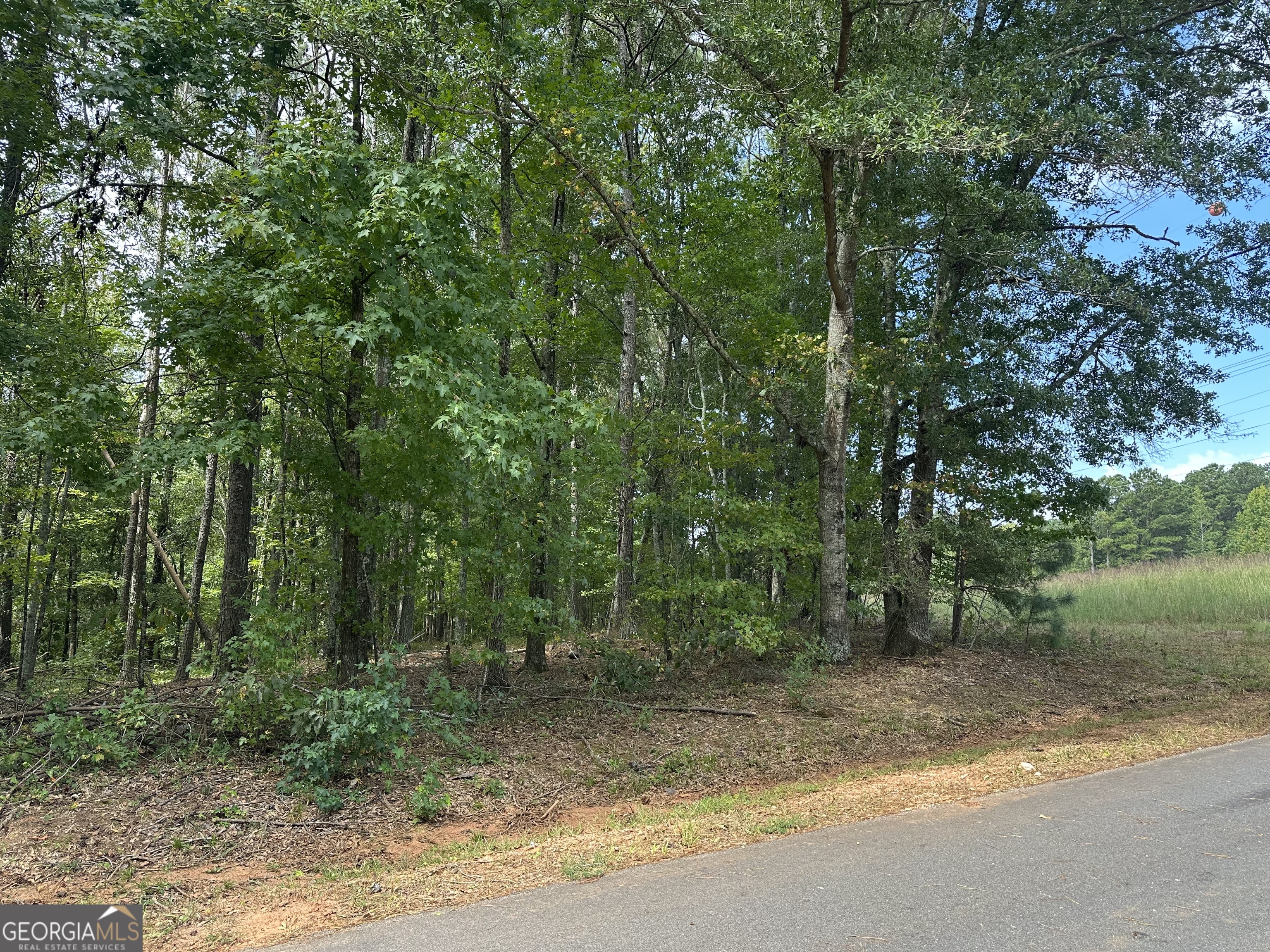 0 Teasley Trail Property Photo 10