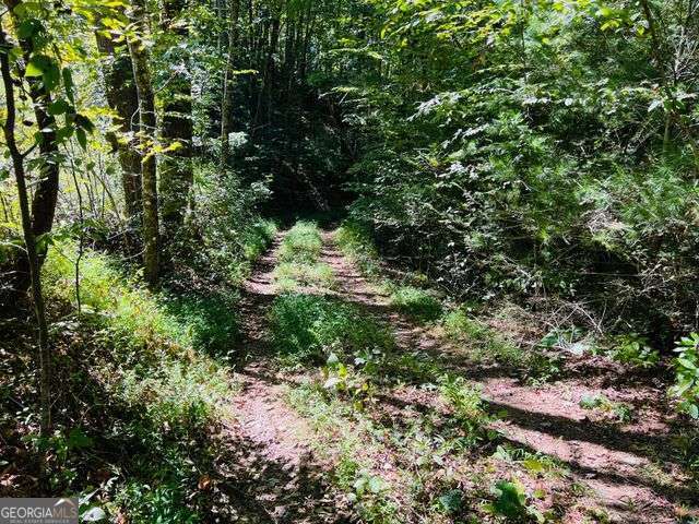 4 Maxwell Mountain Road Property Photo 3