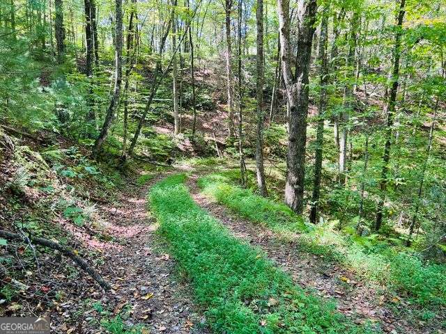 4 Maxwell Mountain Road Property Photo 4