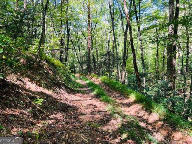 4 Maxwell Mountain Road Property Photo 5