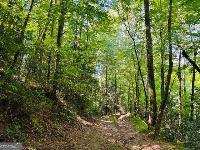 4 Maxwell Mountain Road Property Photo 6