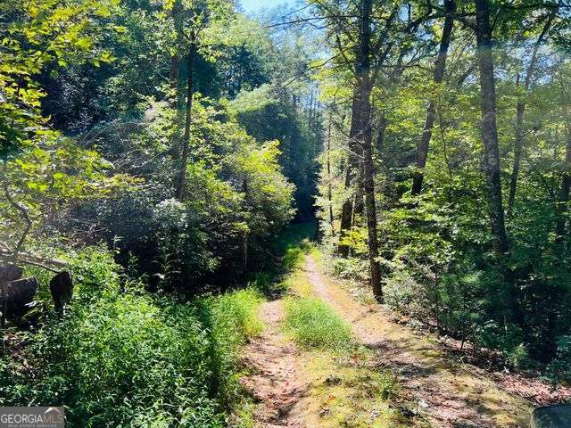 4 Maxwell Mountain Road Property Photo 7