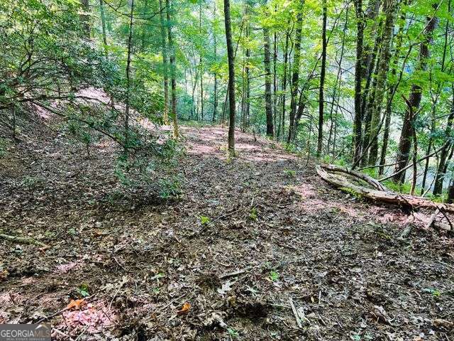 4 Maxwell Mountain Road Property Photo 9