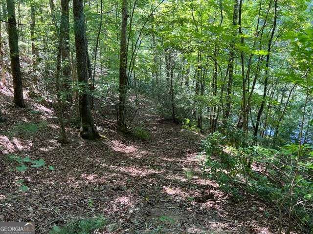 4 Maxwell Mountain Road Property Photo 11