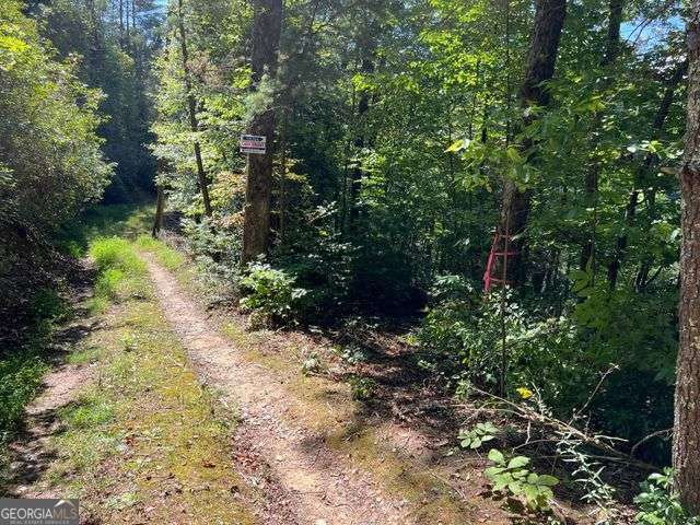 4 Maxwell Mountain Road Property Photo 12