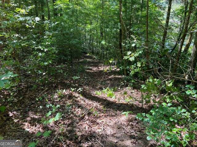 4 Maxwell Mountain Road Property Photo 13